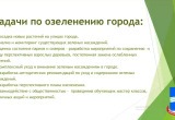 В Калуге начинаются работы по озеленению города