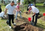 На территории усадьбы в Полотняном заводе высадили вишневый сад