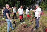 На территории усадьбы в Полотняном заводе высадили вишневый сад