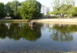 Юрия Галченкова 