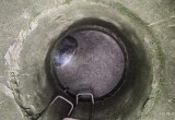 Вероники Матюшиной