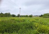 Вероники Матюшиной