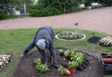 Городское хозяйство Калуги