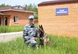 В калужской полиции рассказали о работе кинологов в честь 116-летия службы
