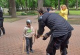 Назад в прошлое: фестиваль "Живая история" с размахом прошел в калужском парке