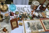 Назад в прошлое: фестиваль "Живая история" с размахом прошел в калужском парке