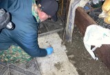СУ СК России по Калужской области