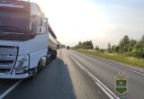 Фото УМВД России по Калужской области
