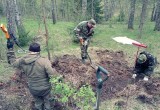 Фото Владислава Шапши