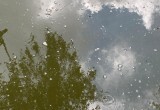 Фото СУ СК России по КО
