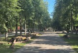 В Калуге начали подготовку к преображению бульвара по улице Чичерина