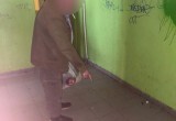 В Обнинске поймали подозреваемого в смертельном избиении мужчины
