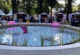 Фестиваль "Калуга. Улица. Еда" посетили 110 тысяч человек