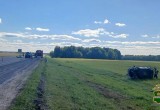 Фото УМВД КО