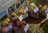 Жители Правобережья отметили День микрорайона