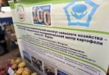 Жители Правобережья отметили День микрорайона