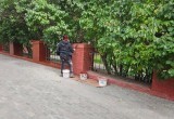 В Калуге приводят в порядок сквер Карпова