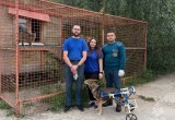 Калужские спасатели помогли по хозяйству приюту для бездомных животных "Верные друзья"