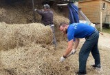 Калужские спасатели помогли по хозяйству приюту для бездомных животных "Верные друзья"