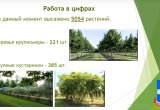 Горуправа Калуги