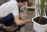 От яичницы до уборки: в Калуге молодых людей с ментальными нарушениями учат самостоятельности