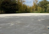 В Калуге готовят 2 уличные площадки для дрессировки собак