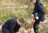 АНО "Экологическая и патриотическая инициатива"