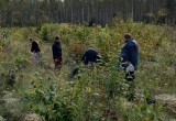 АНО "Экологическая и патриотическая инициатива"