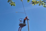 На дорогах в Росве станет светлее и безопаснее