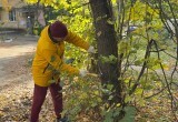 Дмитрий Денисов убрался на Маяковке