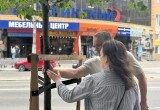На бульваре по улице Степана Разина появится аллея лип