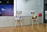 В Калуги прошла Всероссийская акция "Дни белых журавлей"