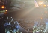Под Калугой "Газель" сбила лося и влетела в легковушку