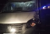 Под Калугой "Газель" сбила лося и влетела в легковушку
