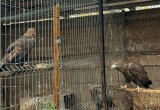   Авчуринская средняя общеобразовательная школа https://vk.com/avturinskyschool?w=wall-193855356_3253