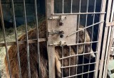   Авчуринская средняя общеобразовательная школа https://vk.com/avturinskyschool?w=wall-193855356_3253