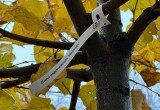 Сезон озеленения Калуги близится к завершению