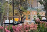 Сезон озеленения Калуги близится к завершению