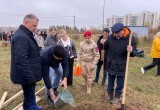 Фото Анатолия Артамонова