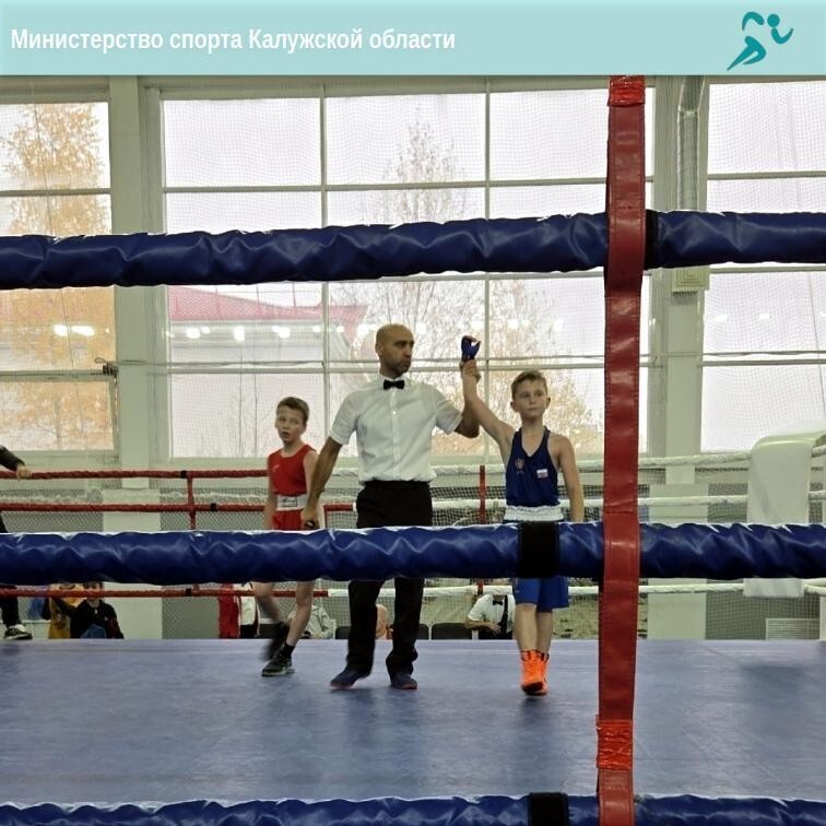 2 золота и 2 серебра завоевали юные калужские боксеры 2 золота и 2 серебра завоевали юные калужские боксеры