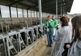 Проверено на себе: экскурсия на "ЭкоНиву" или технологические тайны крупнейшего производителя сырого молока в Европе