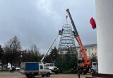 В Калуге у драмтеатра начали монтировать 22-метровую новогоднюю ёлку
