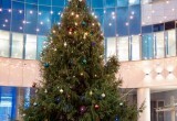 Калужский болельщик подарил новогоднюю ёлку для всех любителей спорта