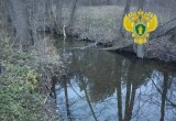 В Калужской области владелец участка "прихватил" берега водоёма на 6000 "квадратов"