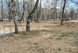 Сквер в микрорайоне Кубяка утопает в грязи