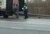 Кинологи и ДПС провели рейд на калужской трассе
