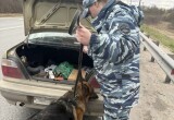 Кинологи и ДПС провели рейд на калужской трассе