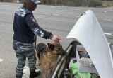 Кинологи и ДПС провели рейд на калужской трассе