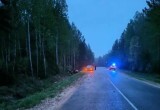 Подросток погиб в ДТП на калужской дороге