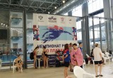 Калужские пловцы завоевали медали на чемпионате России по спорту лиц с поражением опорно-двигательного аппарата